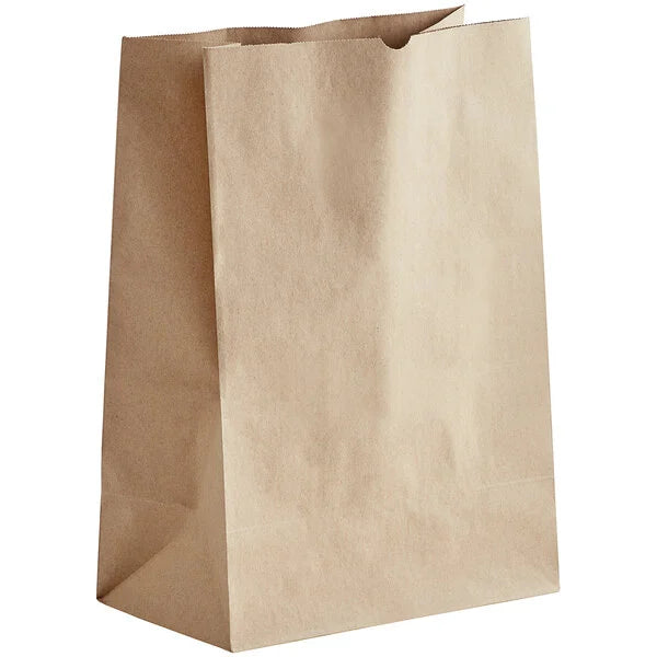 CASE of 500 Paper Bag #57 (12x16x7)