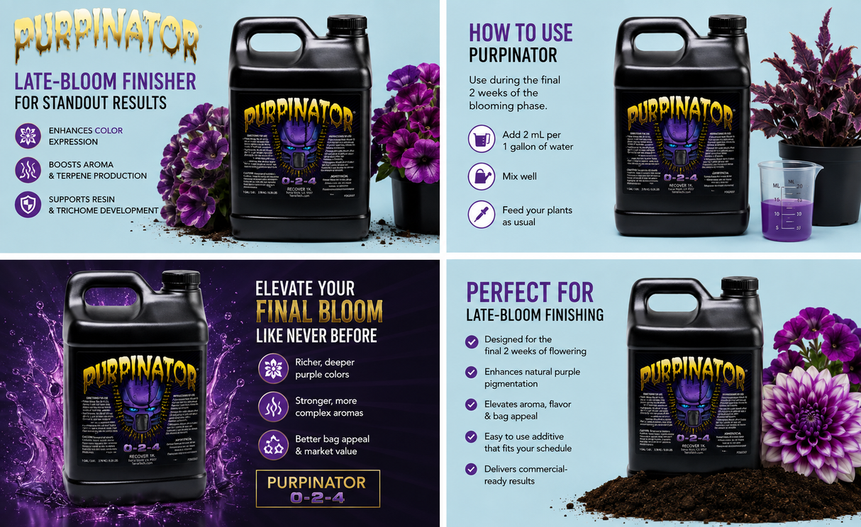 Purpinator 10L (0-2-4)