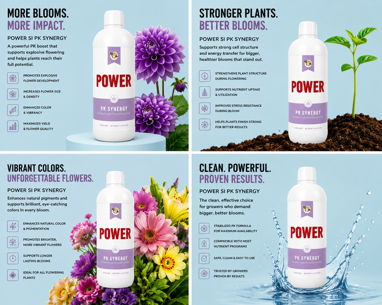 Power SI PK Synergy 1 Liter (12/cs)