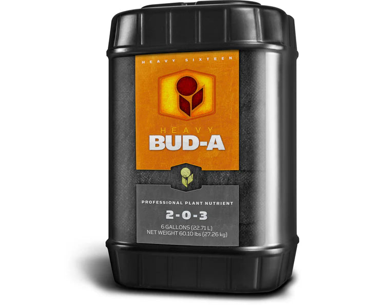 Heavy 16 Bud A 6 Gallon (2-0-3)