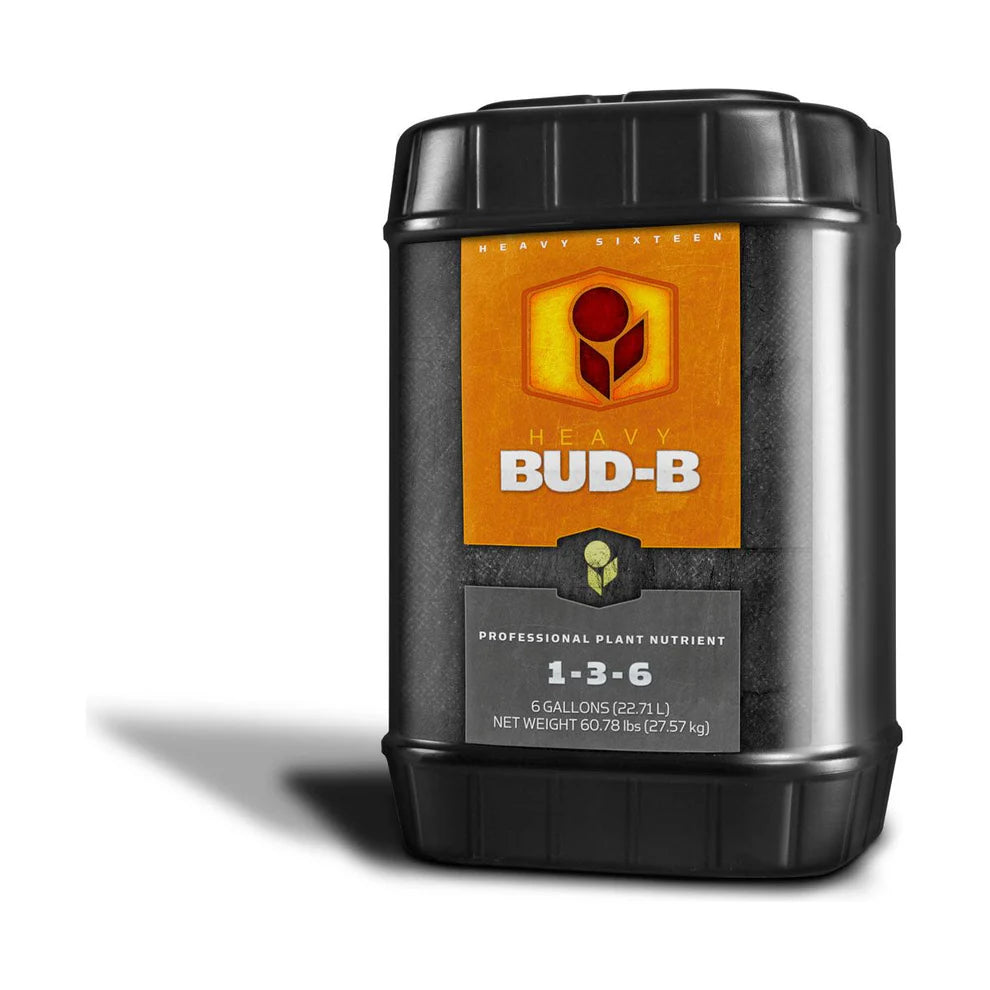 Heavy 16 Bud B 6 Gallon (1-3-6)