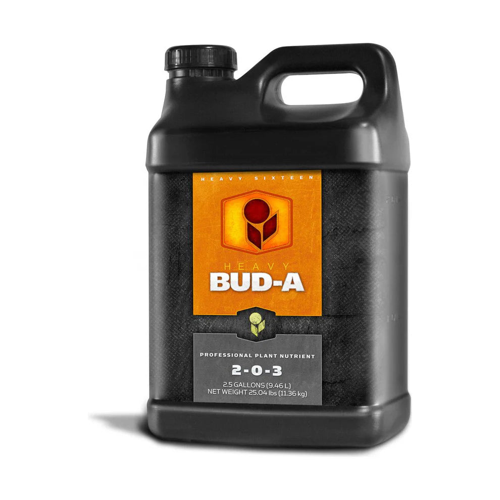 Heavy 16 Bud A 2.5 Gallon (2-0-3)