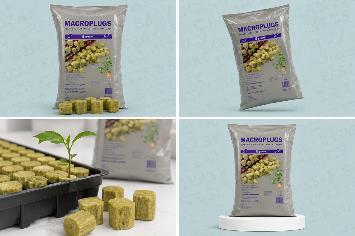 Grodan Macroplug 50pack