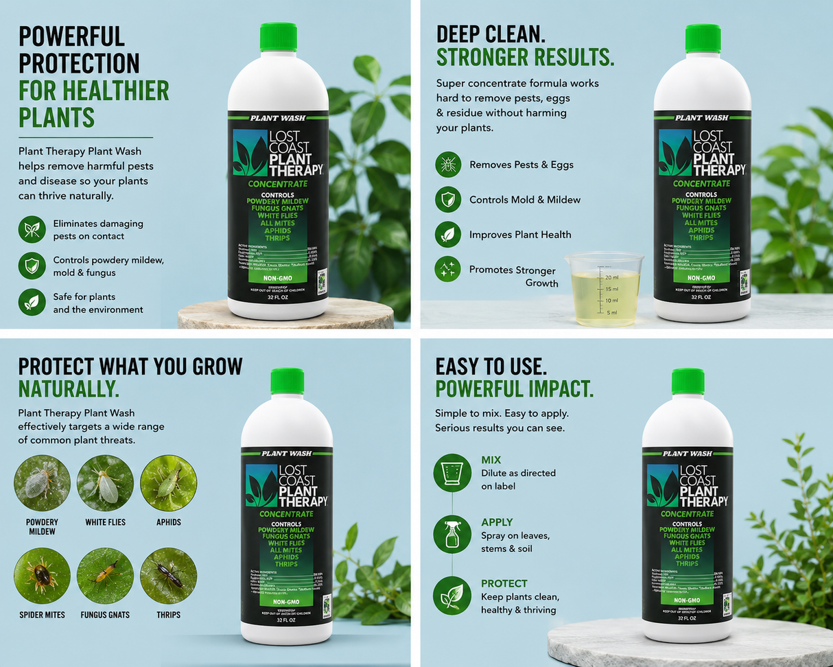 Plant Therapy 32oz. By Lost Coast