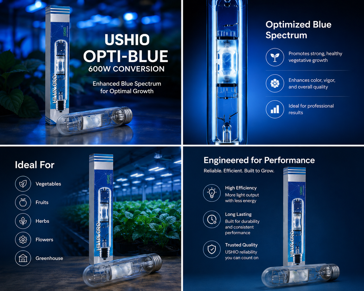 Ushio 600w Opti-Blue conversion