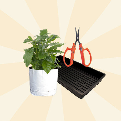 Gardening Supplies & Accessories