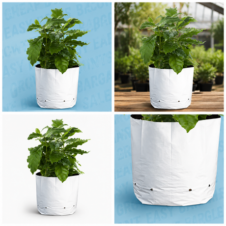 CASE 20 Gallon WHITE/BLACK Grow Bag (200ct)