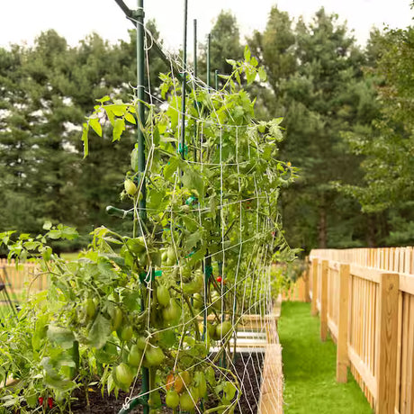 Grower's Edge Nylon Trellis Netting 5' x 15'