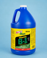Liquinox Start B-1 Gallon (0-2-0)