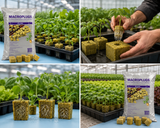 Grodan Macroplug 50pack