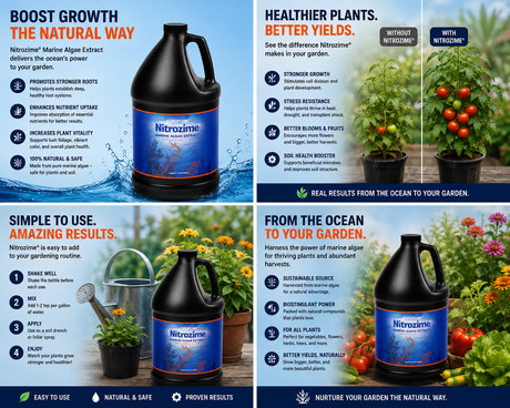 HDI Nitrozime 1 Gallon Marine Algae Extract