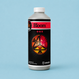 CES Bloom Quart (0-6-5)