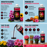CES Bloom Quart (0-6-5)