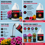 CES Bloom Gallon (0-6-5)
