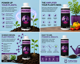 CES Plant Amp Quart