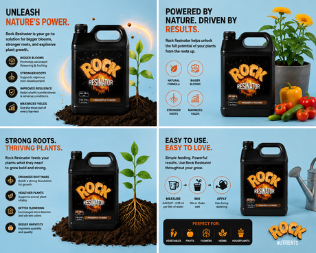 Rock Resinator Heavy Yields 5 Ltr (0-7-8)
