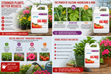 Cal-Mag Plus Quart - Botanicare (2-0-0)