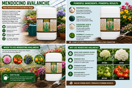 Grow More Mendocino Avalanche 6 Gallon (0-0.15-0)