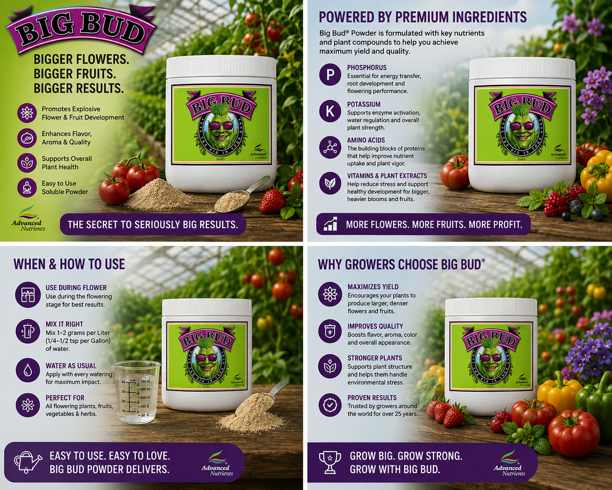 Advanced Nutrients Big Bud Powder, 2.5 KG (0-15-35)
