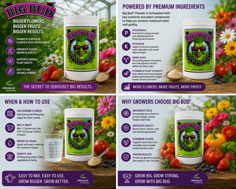 Advanced Nutrients Big Bud Powder, 1 KG (0-15-35)