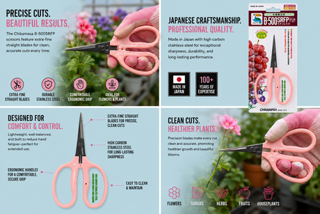 Chikamasa B500SRFP (PINK Curved Fluorine Coated)