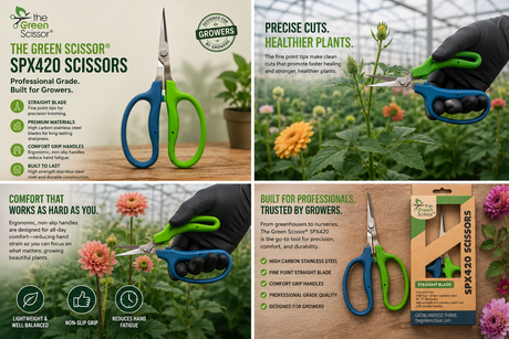 The Green Scissor Brand SPX 420 Straight Scissors