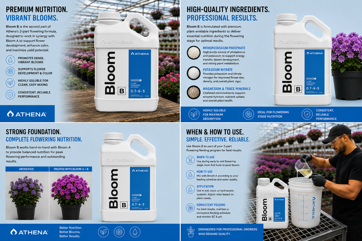 Athena Blended Bloom B 1 Gallon (0.7-6-5)