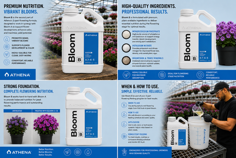 Athena Blended Bloom B 1 Gallon (0.7-6-5)