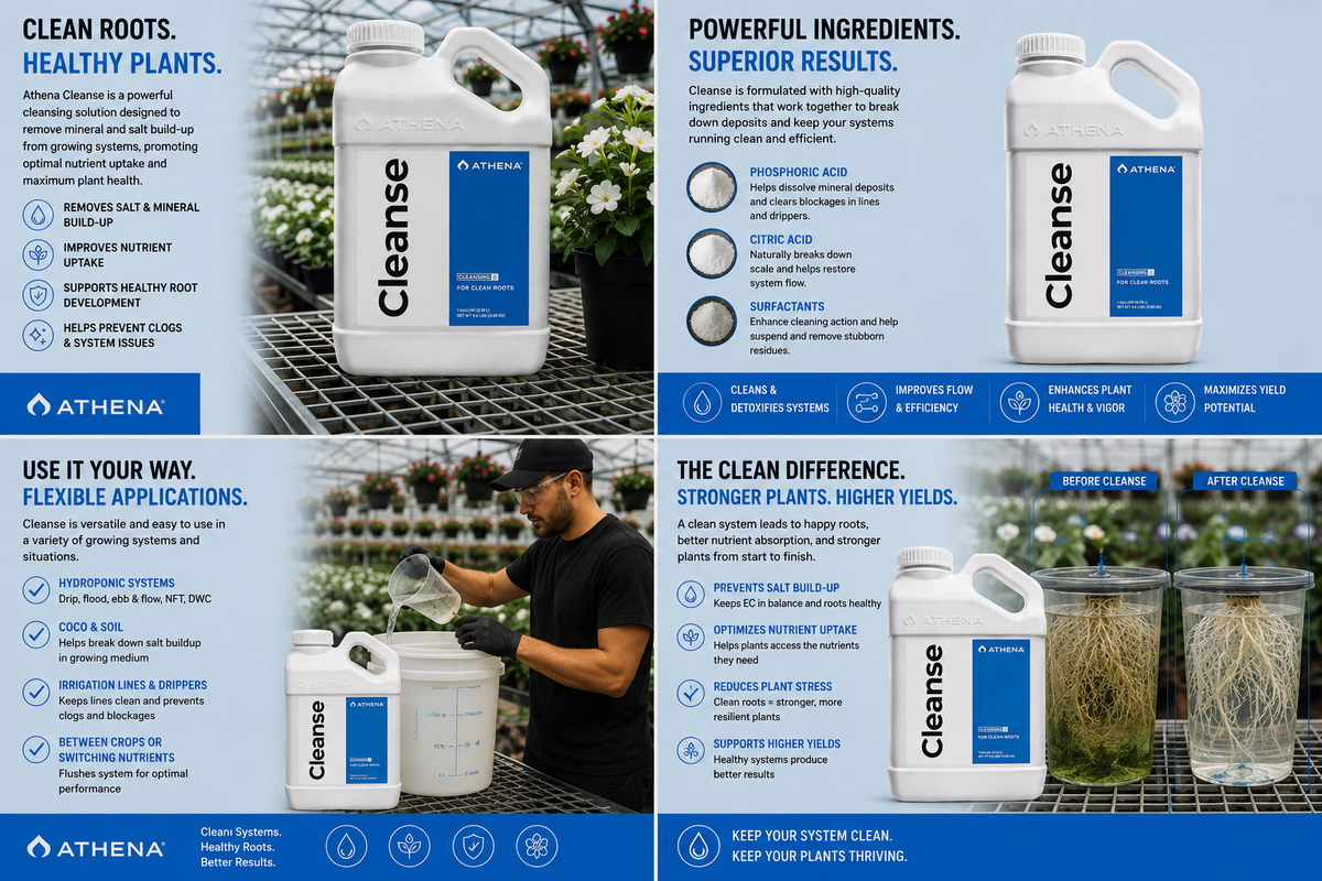 Athena Cleanse (1 Gallon)