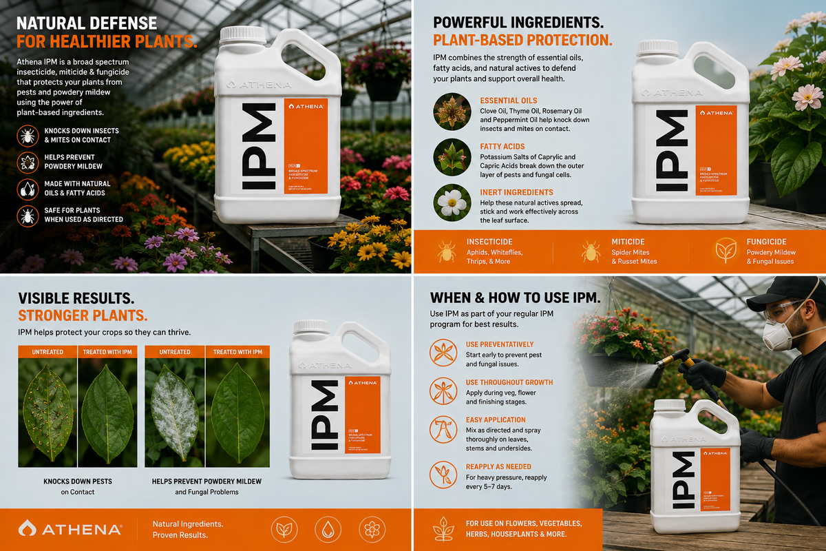 Athena IPM (1 Gallon)