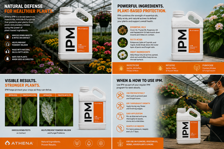 Athena IPM (1 Gallon)