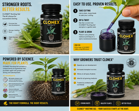 Clonex GEL Rooting Compound (100ml)