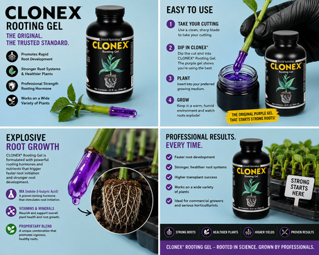 Clonex GEL Rooting Compound (Quart)