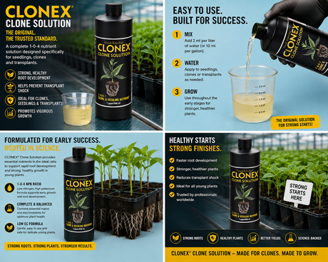 Clonex Clone Solution LIQUID Quart