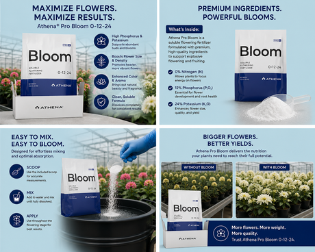 Athena PRO Bloom (10lb Box) (0-12-24)