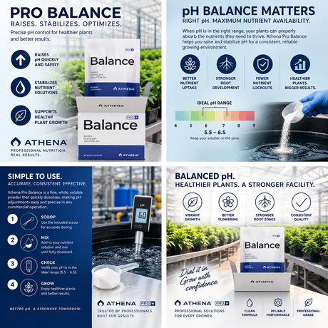 Athena Balance PRO 25lb Box