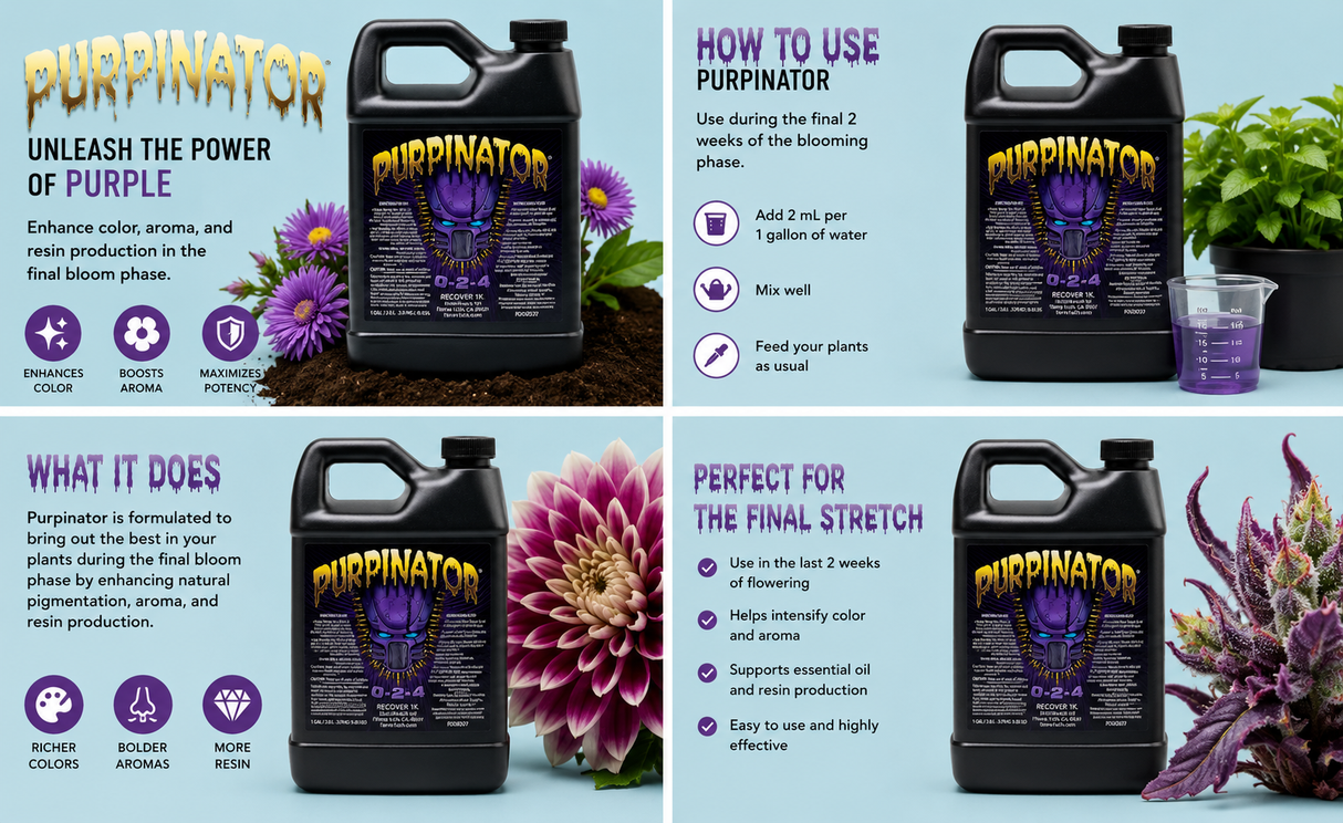 Purpinator 1L (0-2-4)