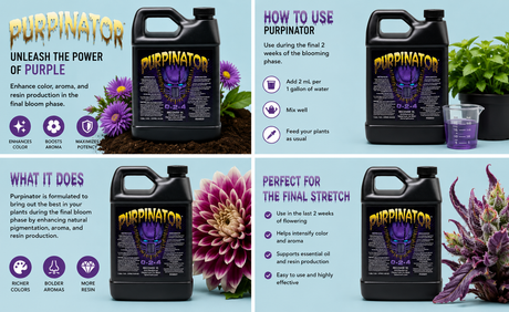 Purpinator 1L (0-2-4)