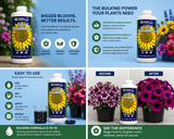 GH Liquid KoolBloom (0-10-10) Quart
