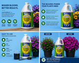 GH Liquid KoolBloom (0-10-10) Gallon