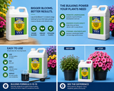 GH Liquid KoolBloom (0-10-10) 2.5 Gallon