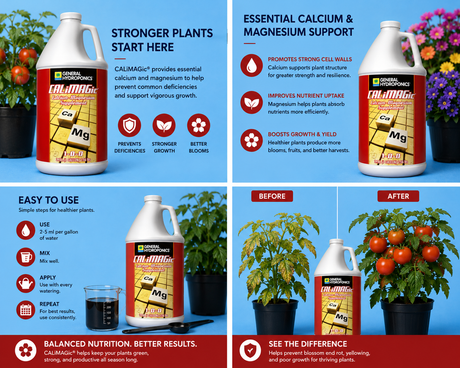 GH CaliMagic Gallon (1-0-0)