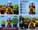 GH FloraMicro Gallon (5-0-1)