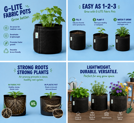 G Lite Geo Pot 5 Gallon fabric pot