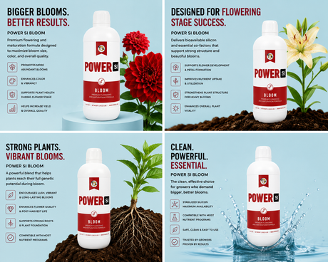 Power Si BLOOM 1 Liter (1-2-0.5)