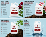 Power Si BLOOM 5L (1-2-0.5)