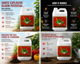 Advanced Bud Ignitor, 10L (2.5GL) (0-1-2)