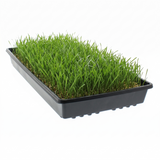 CASE 10" x 20" Black Slotted Prop Tray W/ Holes (100/cs)