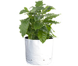 Sungrower WHITE/BLACK 1/2 GAL Grow Bag (100/pk)