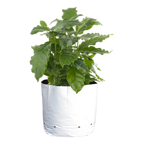 CASE 30 Gallon WHITE/BLACK Grow Bag (100ct)